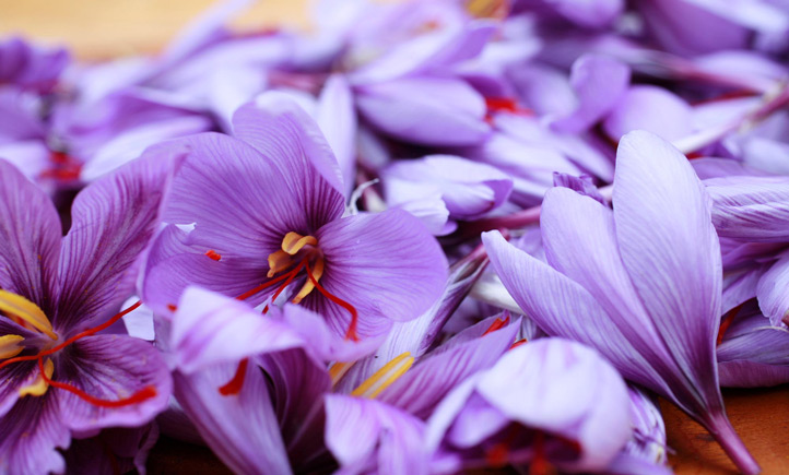 نقش گل زعفران در طب سنتی