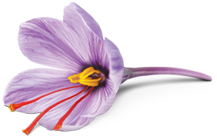 غیرفعال icon