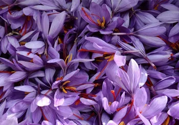 آموزش رنگآمیزی با گلبرگ زعفران در خانه