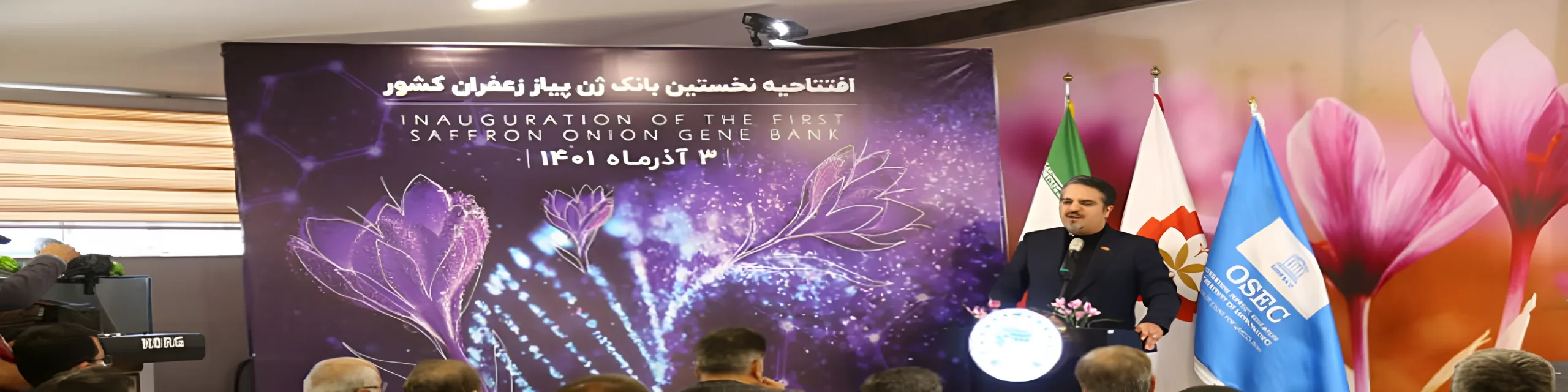 افتتاح نخستین بانک ژن پیاز زعفران ایران در تربت حیدریه