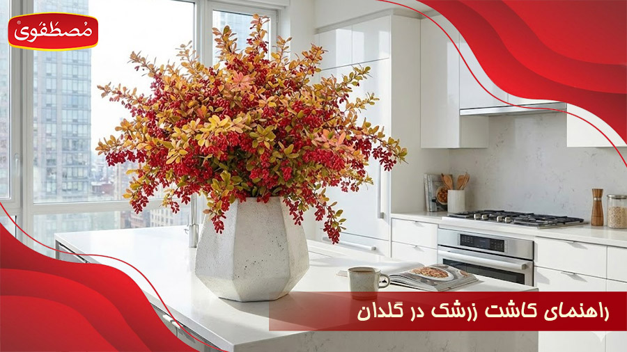 راهنمای کاشت زرشک در گلدان و شرایط نگهداری آن