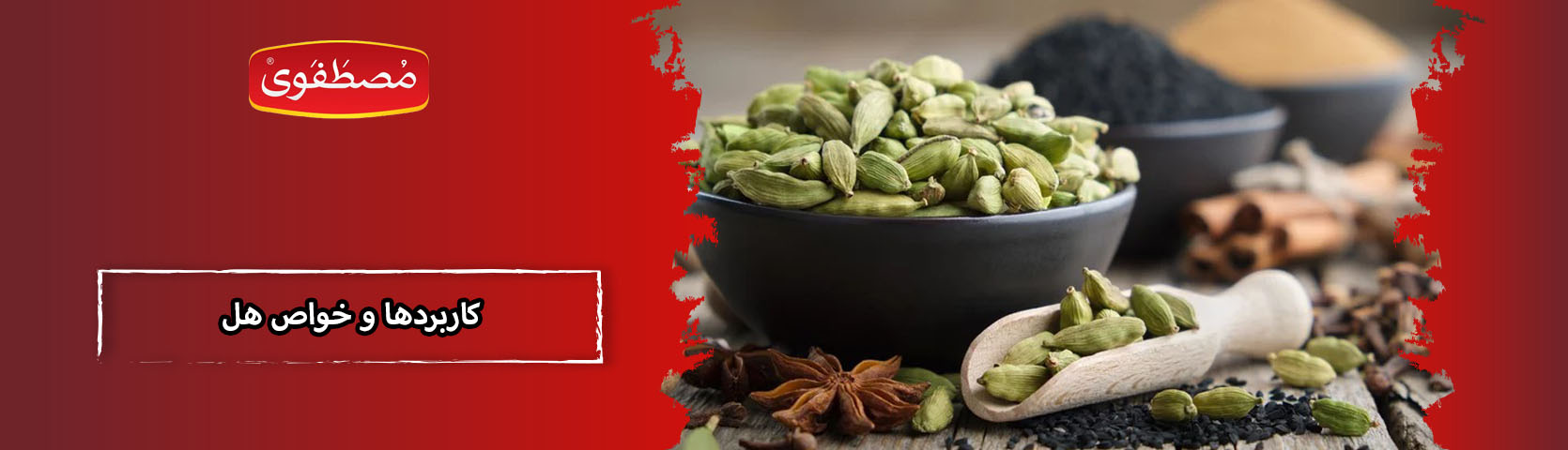 آشنایی با کاربرد ها و خواص هل + طریقه مصرف