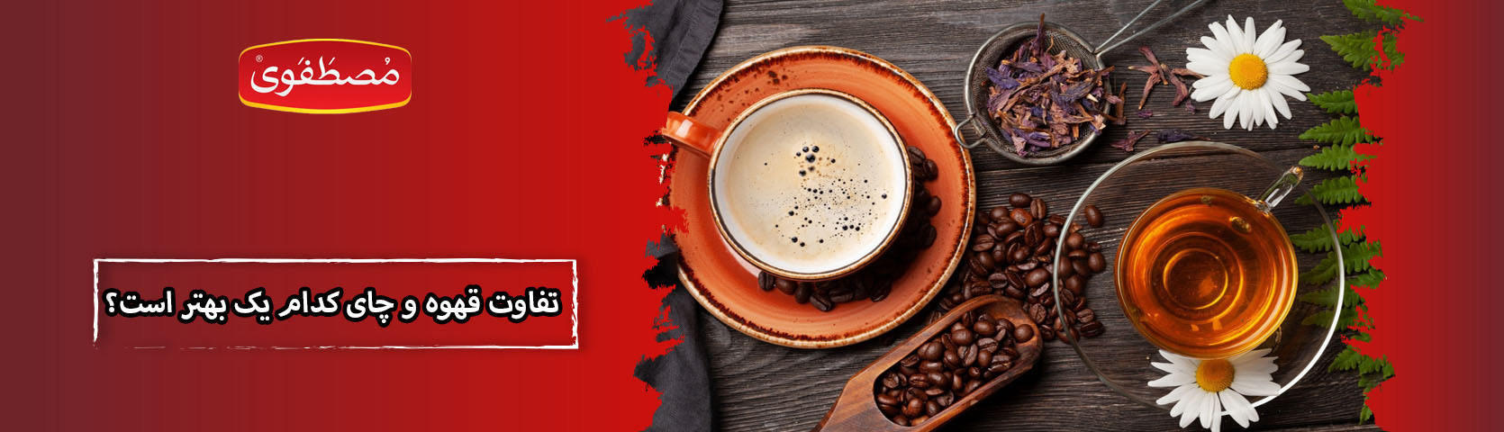 تفاوت قهوه و چای کدام یک بهتر است؟ مزایای چای و قهوه برای سلامتی