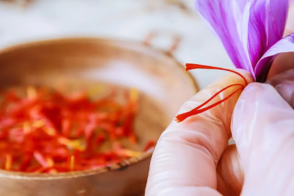 پیکروکروسین