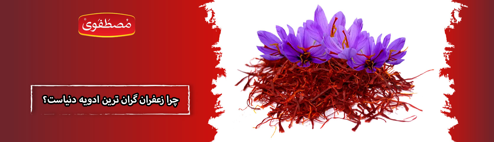 چرا زعفران گران ترین ادویه دنیا است؟