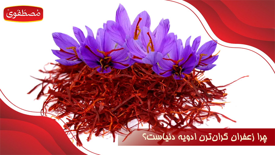 چرا زعفران گران ترین ادویه دنیا است؟